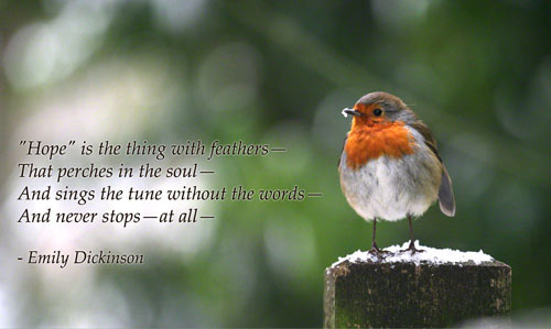 Hope Poems - Short Poems
