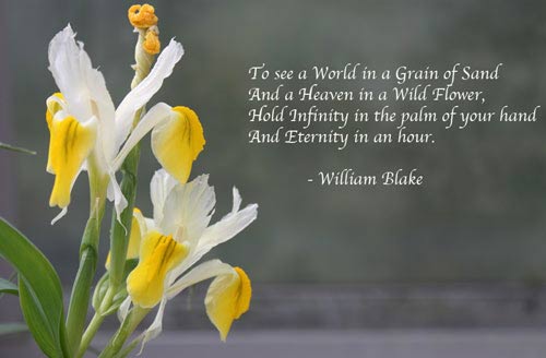 William Blake - Short Poems William Blake - Short Poems