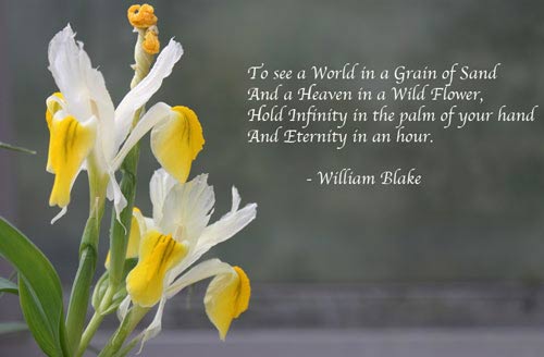 William Blake Poet